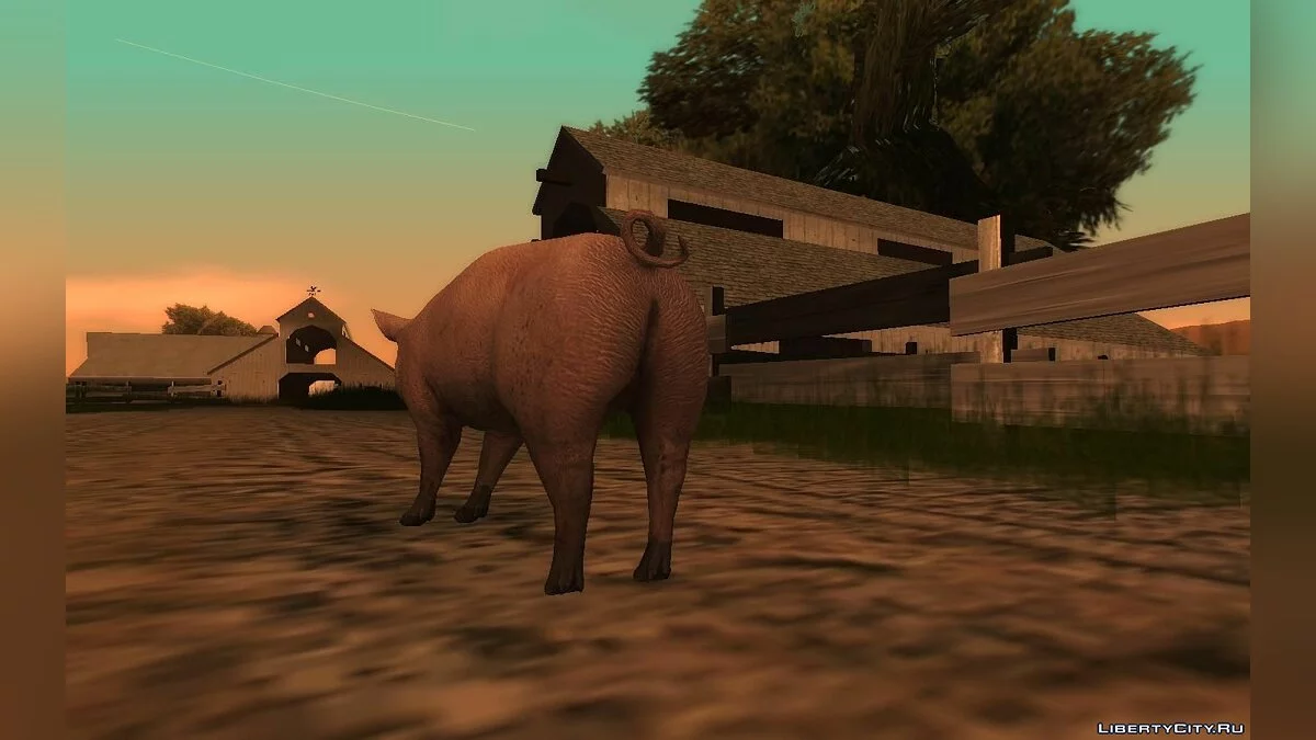 Свинья / GTA San Andreas