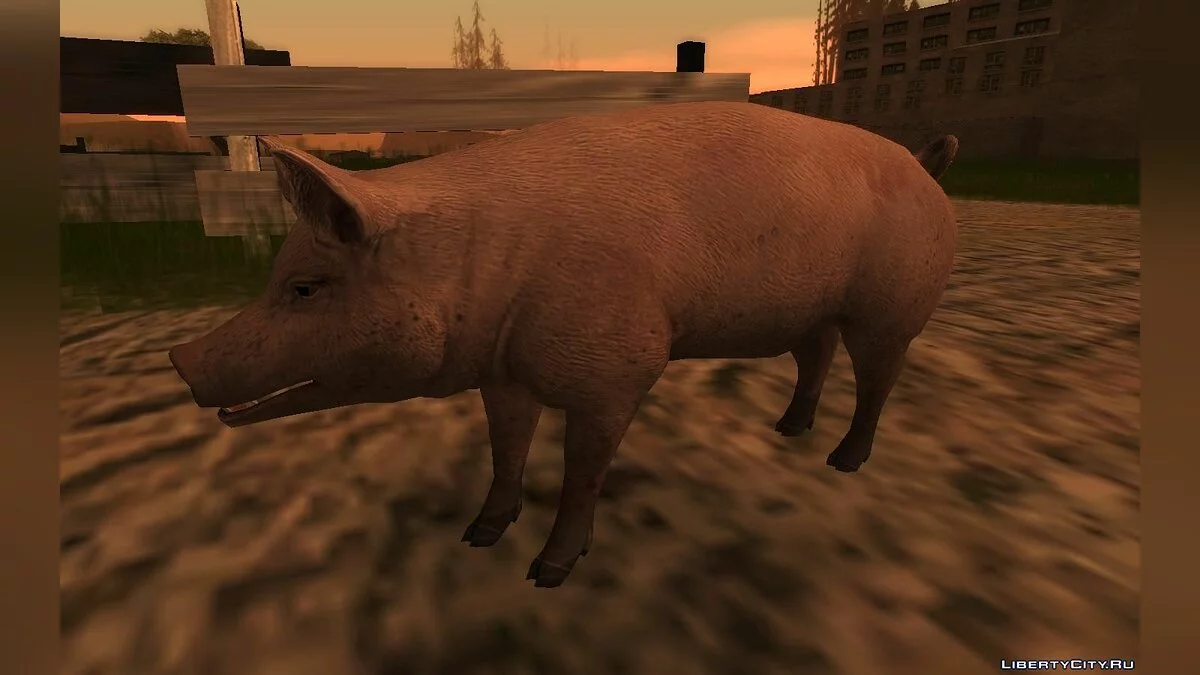 Свинья / GTA San Andreas