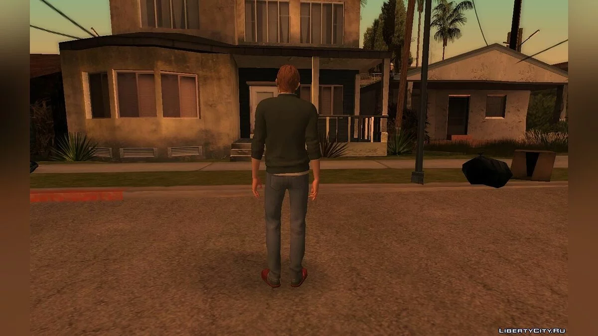 Чарльз из The Awesome Adventures of Captain Spirit / GTA San Andreas
