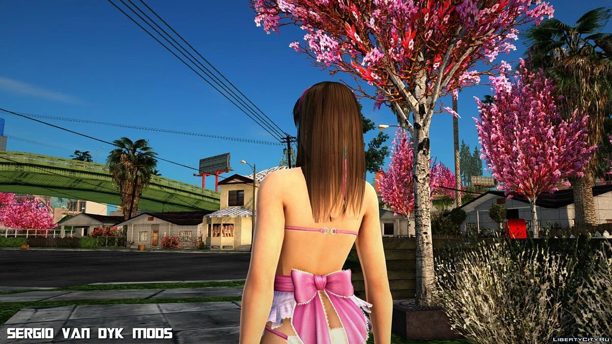 Хитоми в одежде День святого Валентина / GTA San Andreas