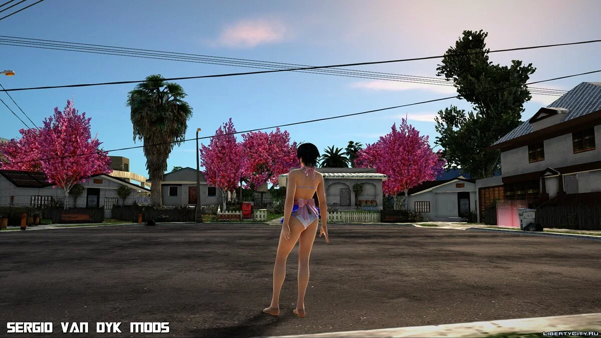 Пай в одежде День святого Валентина / GTA San Andreas