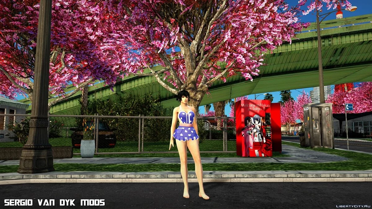 Пай в одежде День святого Валентина / GTA San Andreas