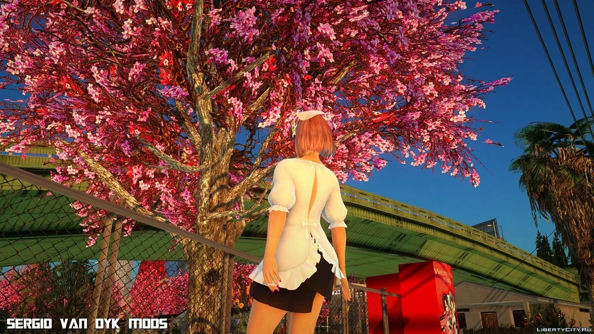 Хонока - Hohoemi Biyori SSR из Dead or Alive Xtreme Venus Vacation / GTA San Andreas