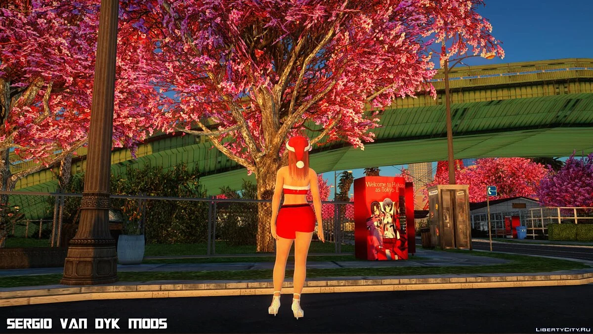 Хонока в рождественской одежде / GTA San Andreas