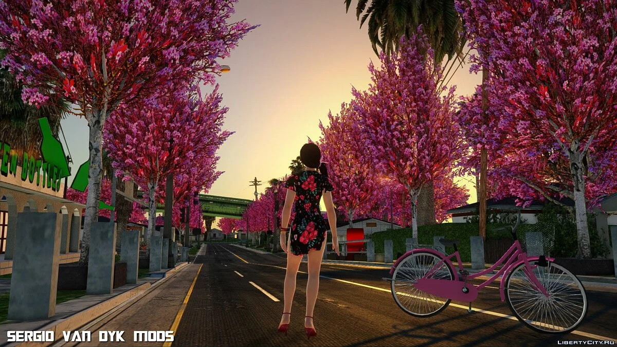 Кокоро в платье (С Днём Рождения) / GTA San Andreas