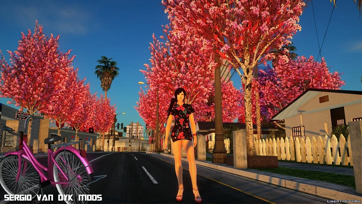 Кокоро в платье (С Днём Рождения) / GTA San Andreas