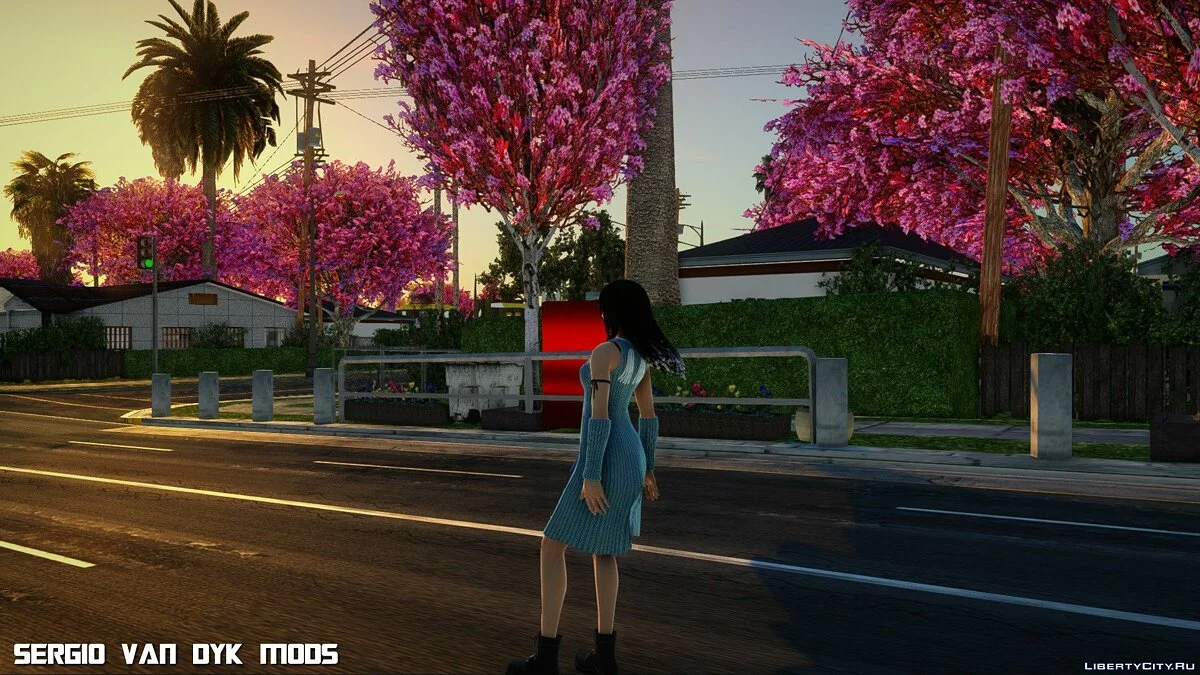 Риноа Хартилли из Dissidia: Final Fantasy / GTA San Andreas