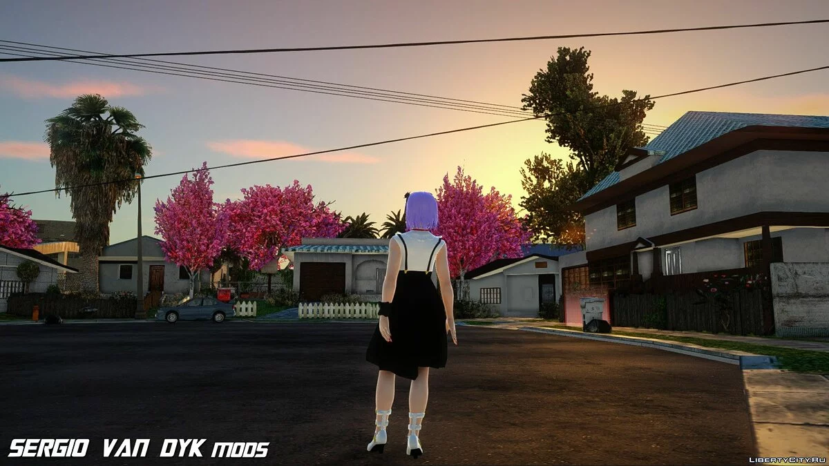 Хотару Шидарэ из Магазинчик сладостей / GTA San Andreas