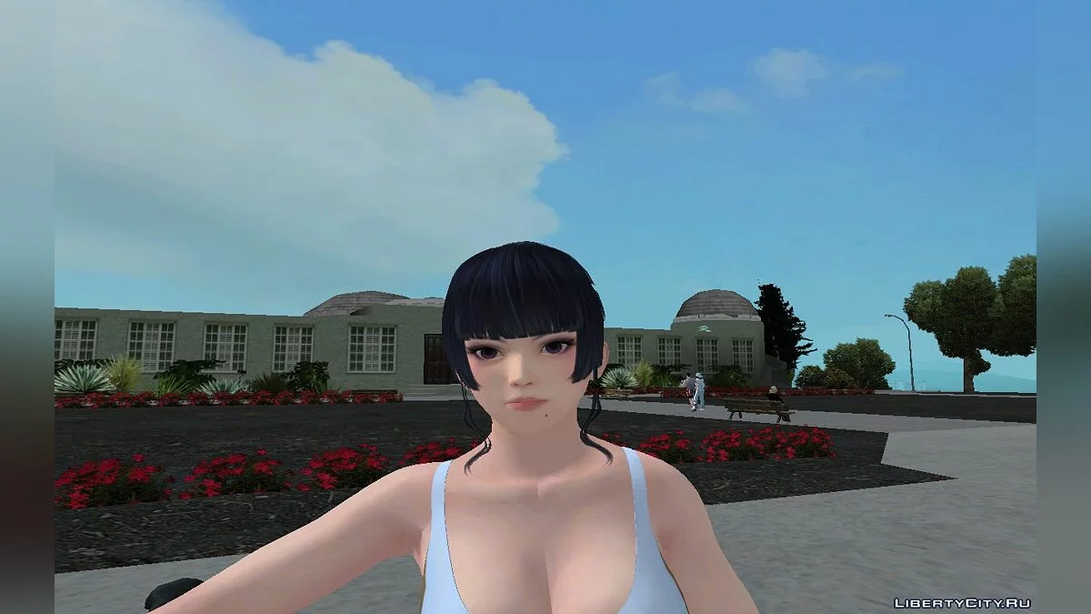Ниотенгу в тренировочной одежде / GTA San Andreas