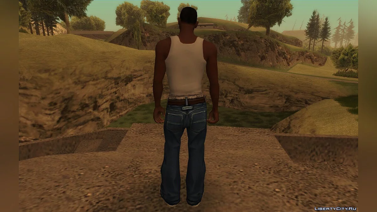 Карл Джонсон из Definitive Edition / GTA San Andreas