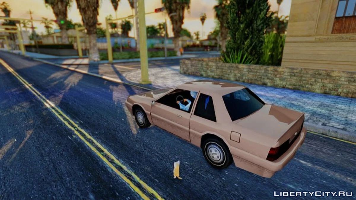 Кот Мигель / GTA San Andreas