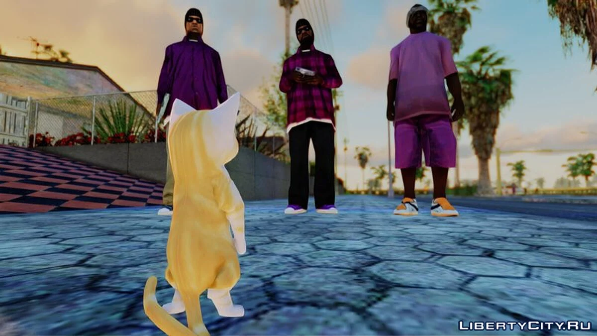Кот Мигель / GTA San Andreas