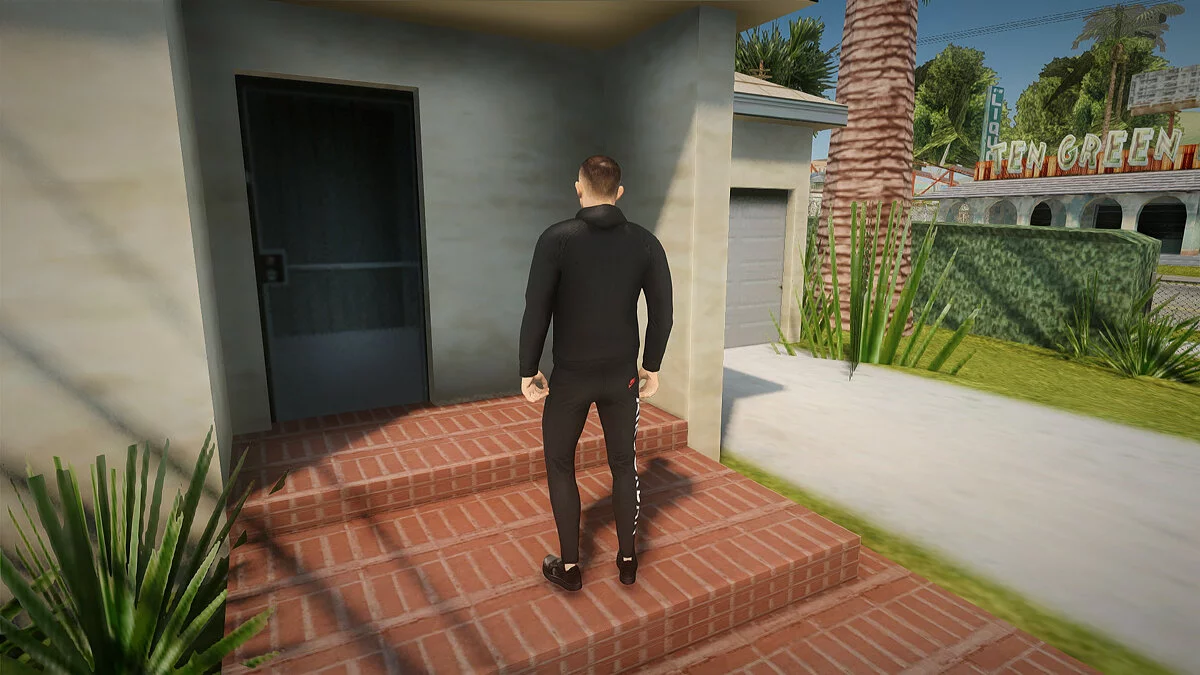 Михаил Литвин / GTA San Andreas