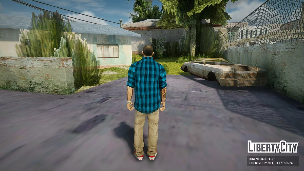 Скин №21 / GTA San Andreas