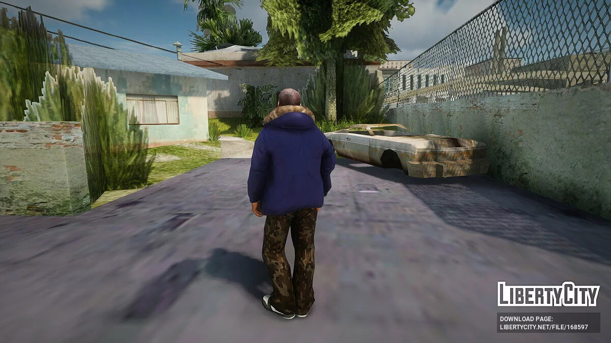 Скин №37 / GTA San Andreas
