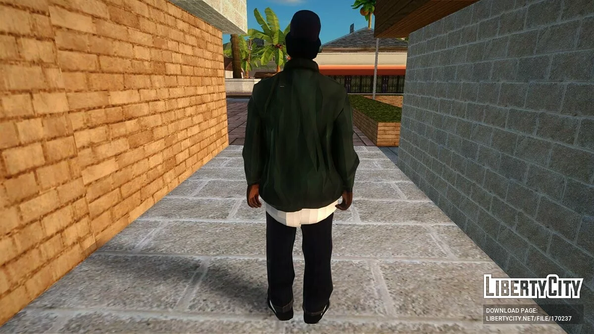 Райдер из GTA Trilogy / GTA San Andreas