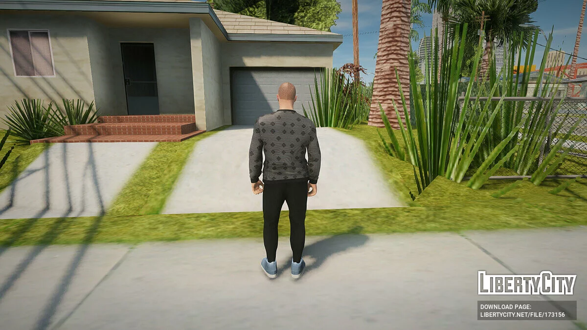 Повседневный скин №2 / GTA San Andreas