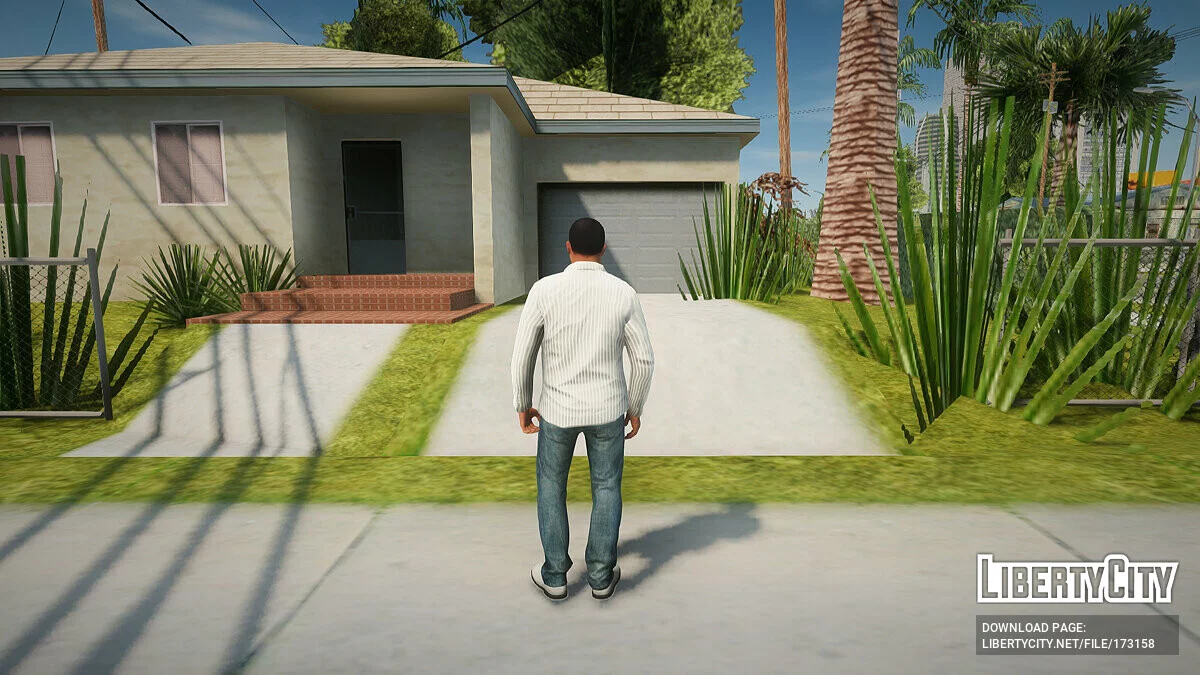 Повседневный скин №3 / GTA San Andreas