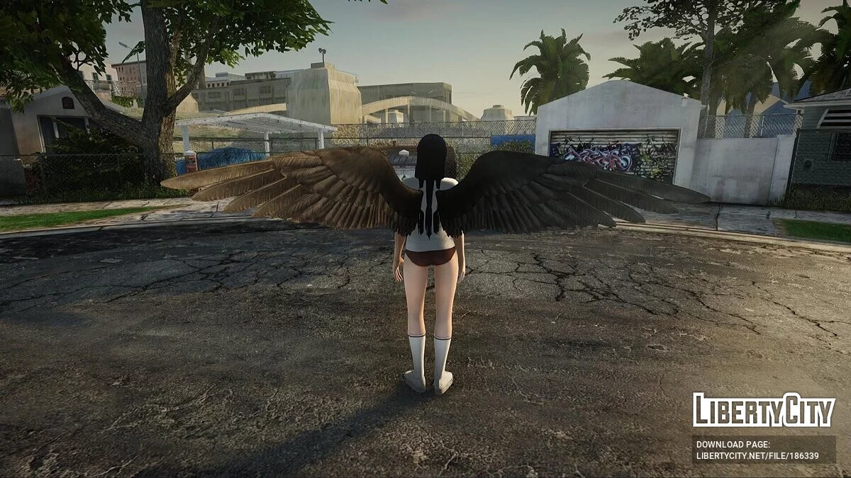 Ниотенгу из DOA / GTA San Andreas