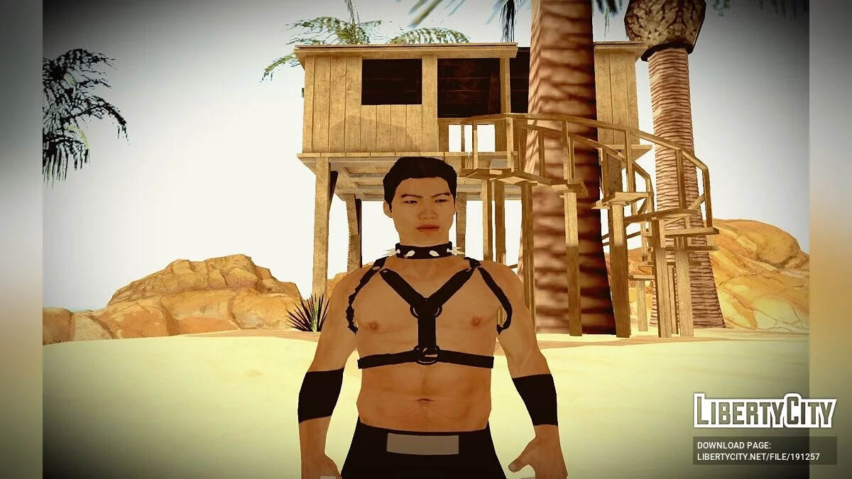 Молодой Ван Даркхолм из Gachimuchi / GTA San Andreas