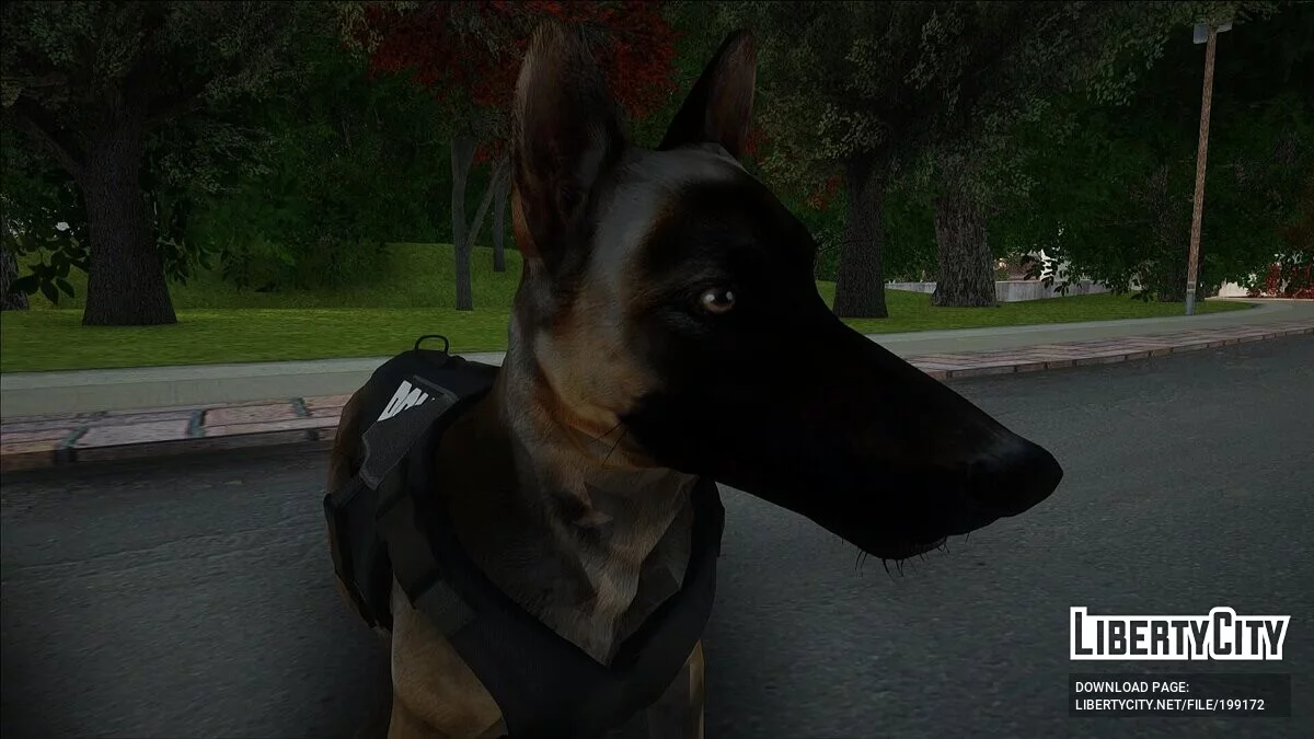 Полицейская собака / GTA San Andreas