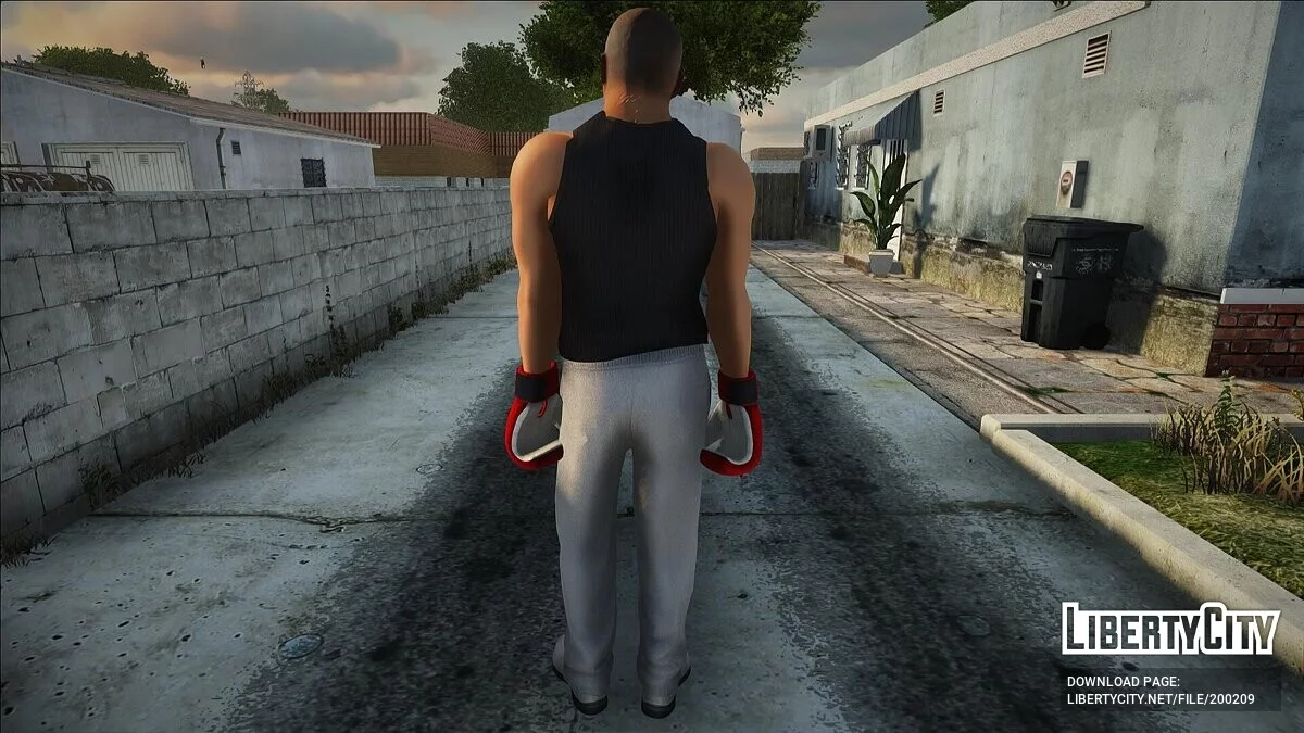 Майк Тайсон / GTA San Andreas