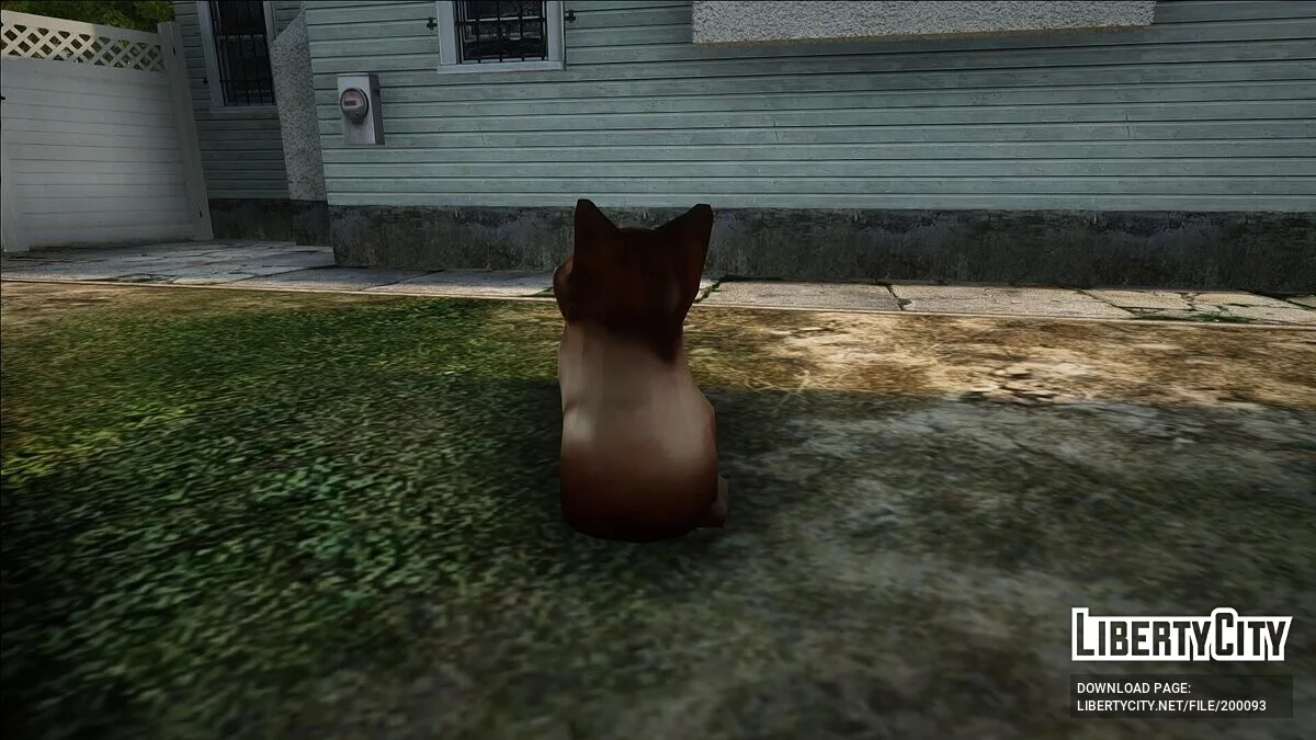 Поп кот (мем) / GTA San Andreas