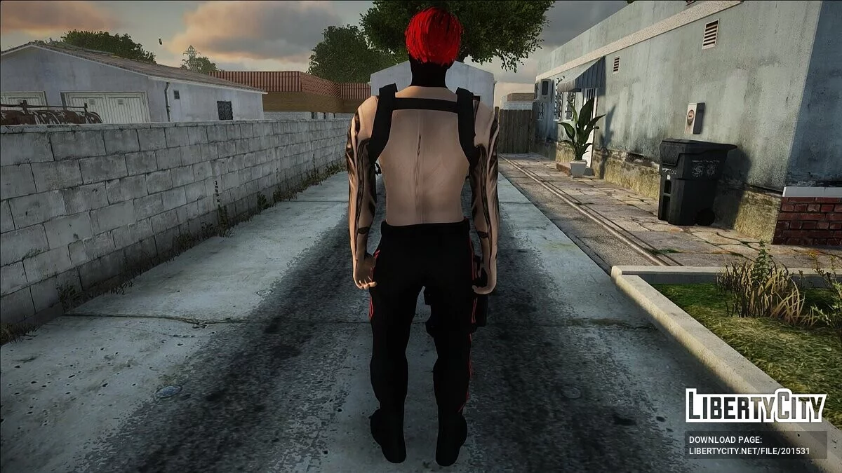 Молодой гангстер (PC/Mobile) / GTA San Andreas