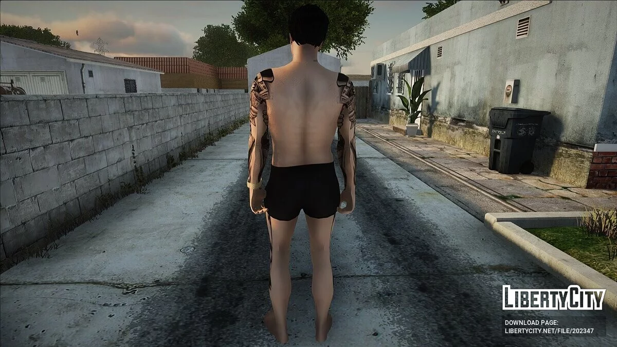 Мужской пляжный скин #1 (PC/Mobile) / GTA San Andreas