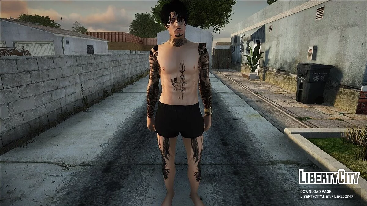 Мужской пляжный скин #1 (PC/Mobile) / GTA San Andreas
