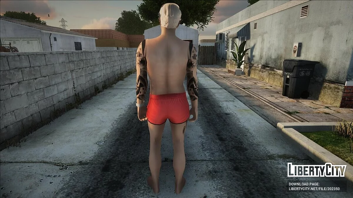 Мужской пляжный скин #2 (PC/Mobile) / GTA San Andreas