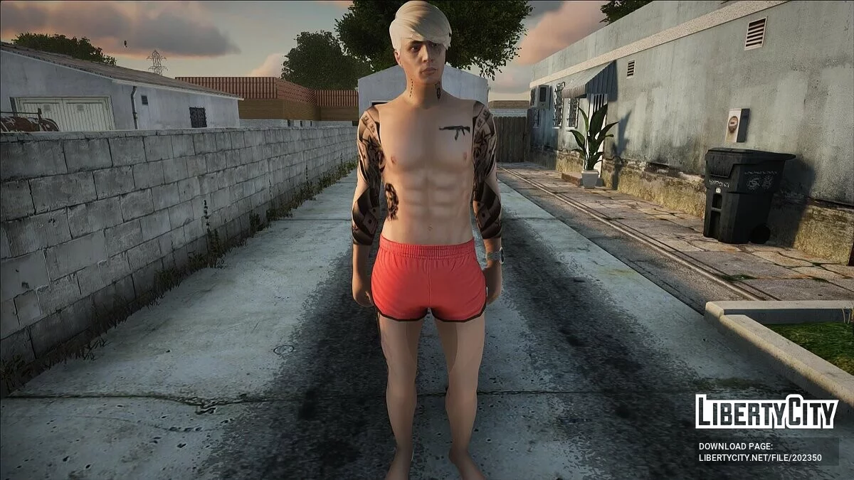 Мужской пляжный скин #2 (PC/Mobile) / GTA San Andreas