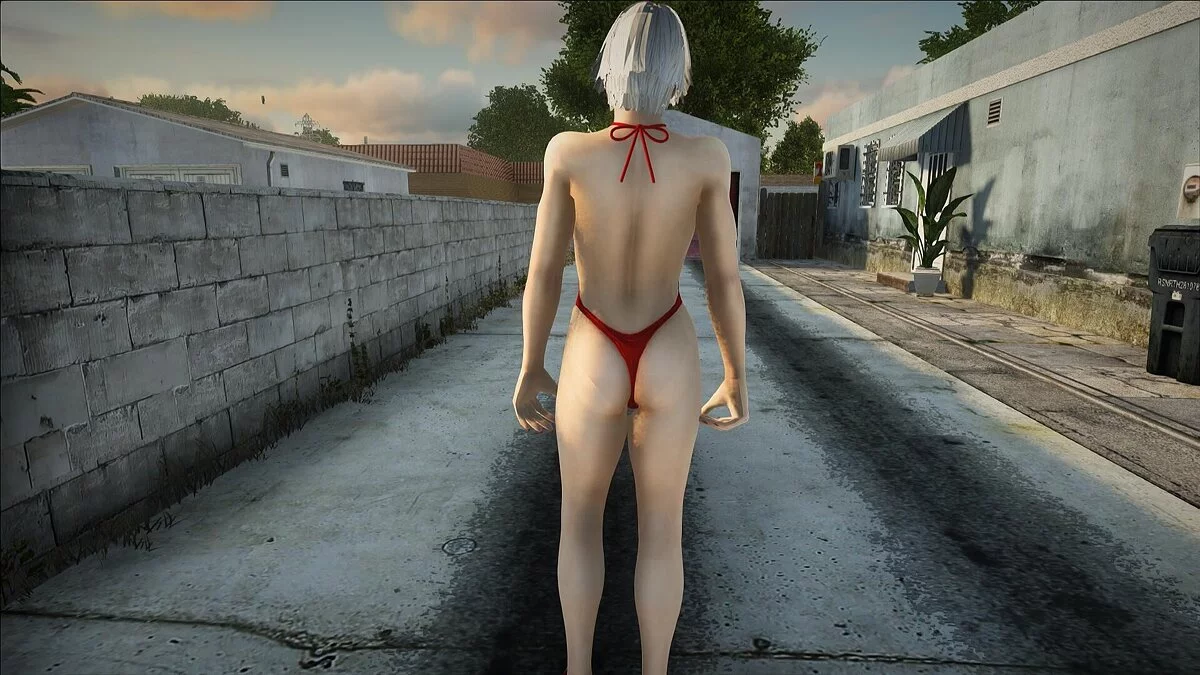 Кристи в бикини из Dead Or Alive 5 / GTA San Andreas