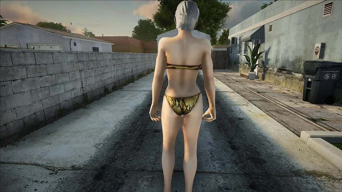 Кристи в купальнике из Dead Or Alive 5 / GTA San Andreas