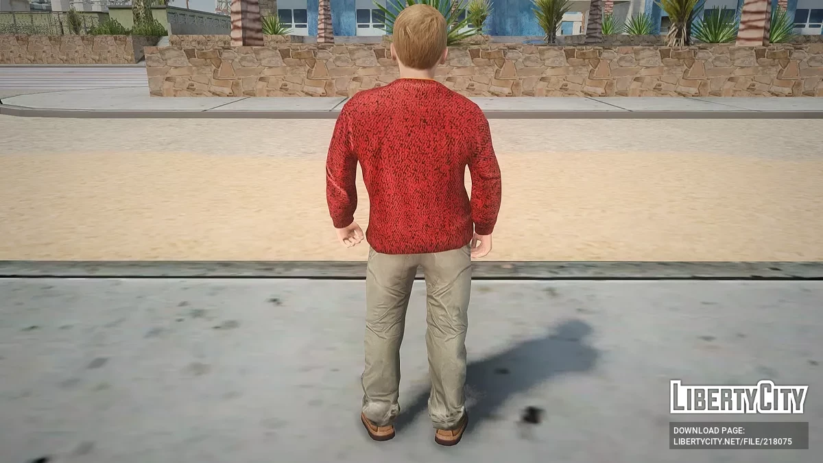 Кевин Маккаллистер / GTA San Andreas