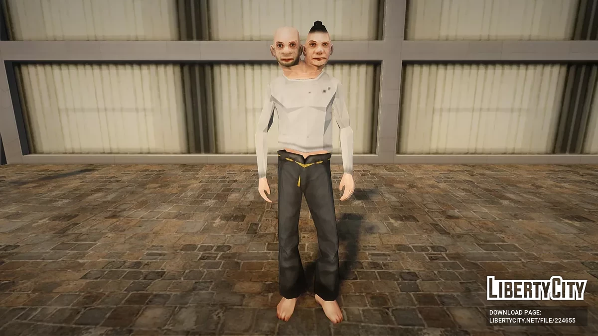 Баш и Фока / GTA San Andreas