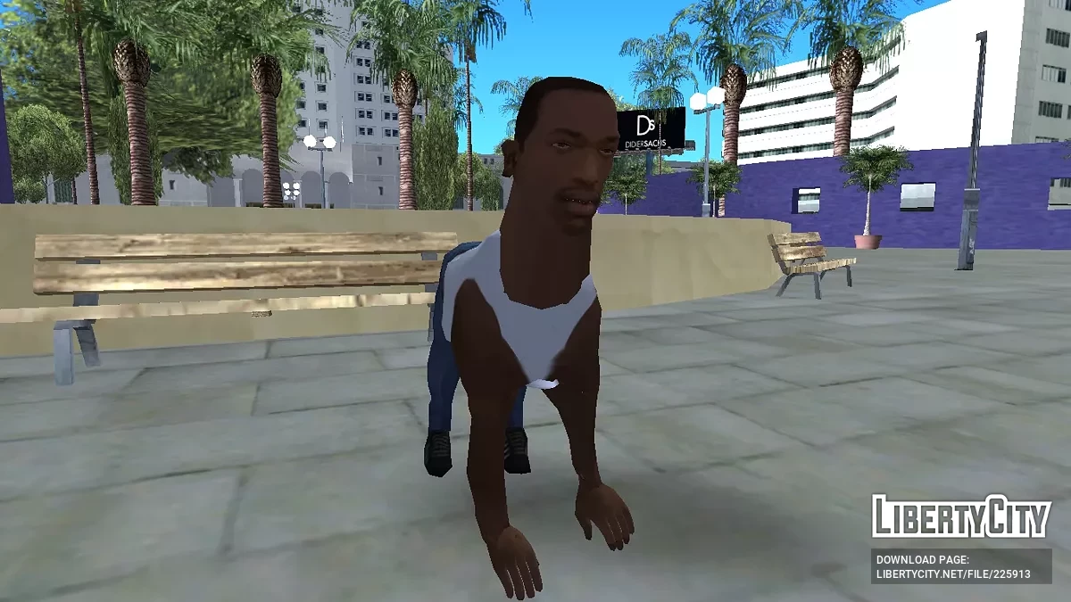 Сиджей-кот / GTA San Andreas