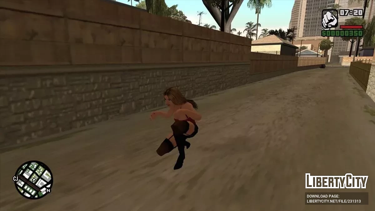 Кармен Электра из Def Jam: Fight for NY / GTA San Andreas