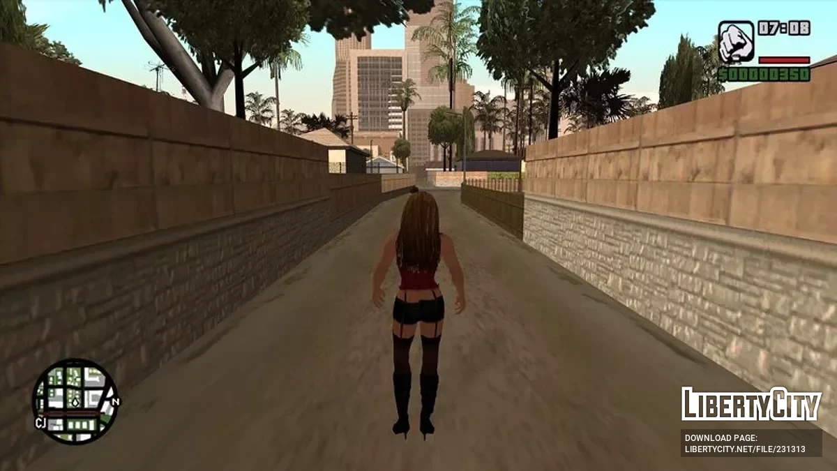Кармен Электра из Def Jam: Fight for NY / GTA San Andreas