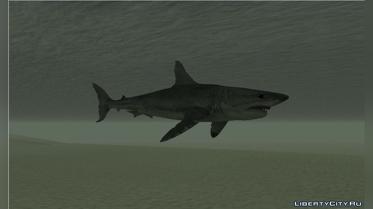 что такое белая акула в гта 5 фото 98