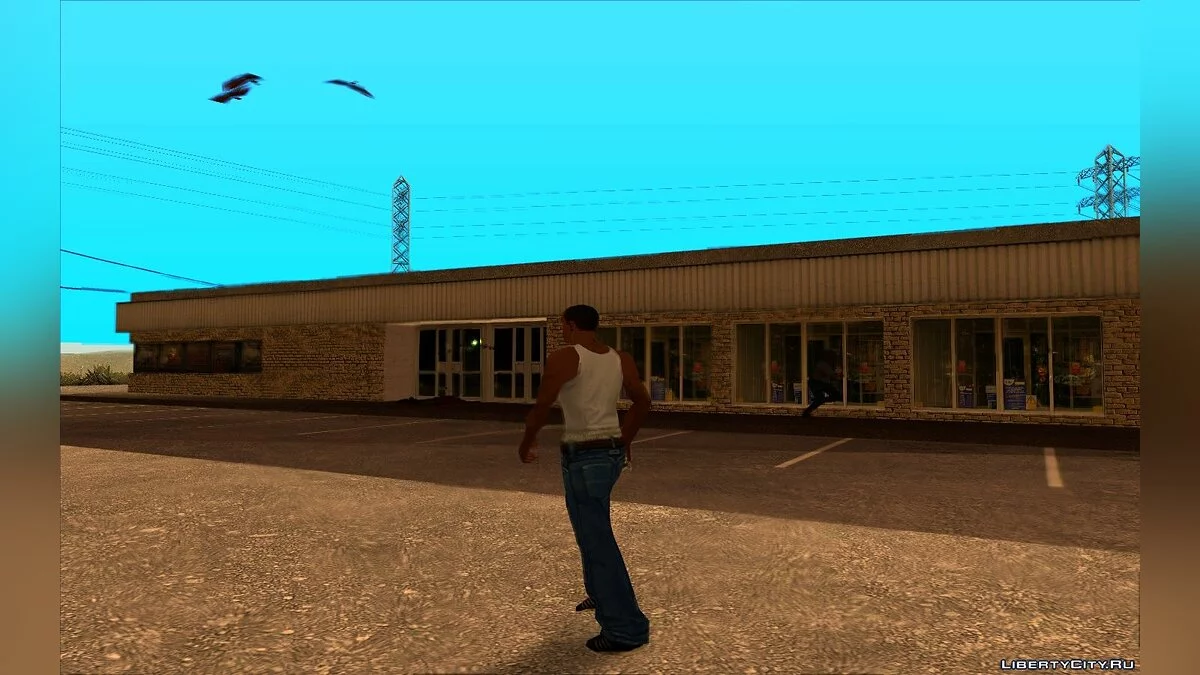 HQ версия магазина desn2_tsblock в районе countN2 / GTA San Andreas