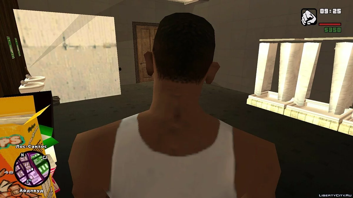 LAe: Химчистка и дом Биг Смоука / GTA San Andreas