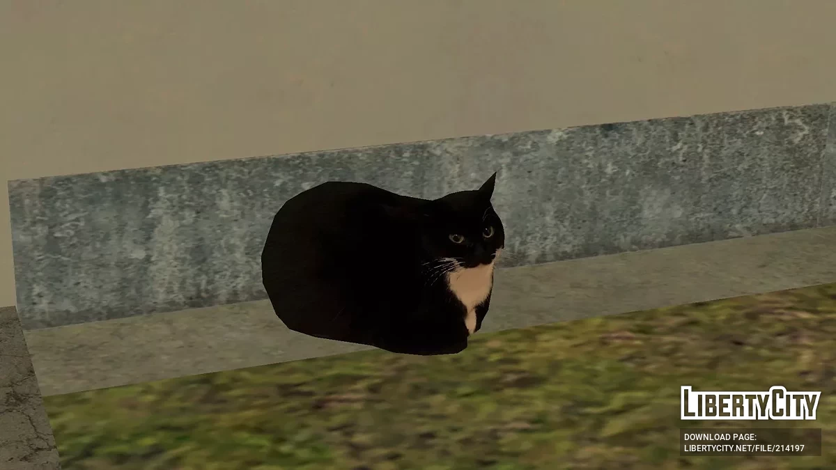 Кот Максвелл (Дингус) / GTA San Andreas