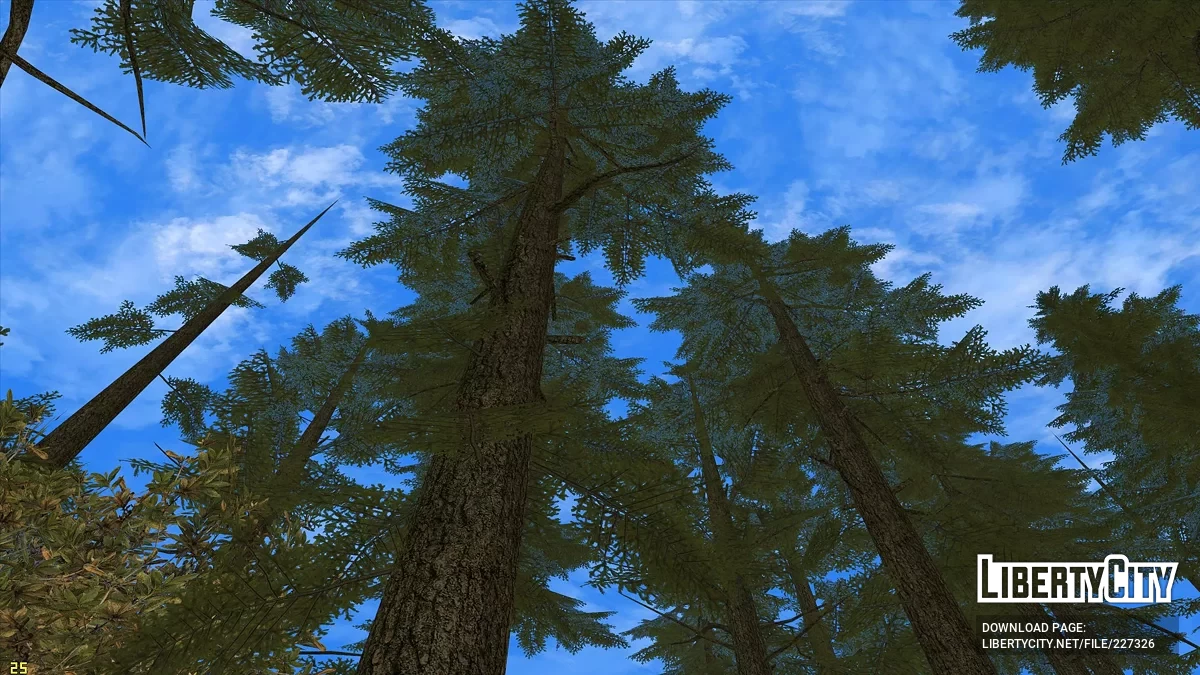 Новый парк в Бейсайде / GTA San Andreas