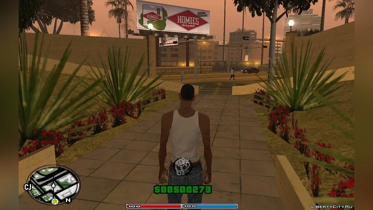 CLEO HUD by Cameron Rosewood / GTA San Andreas