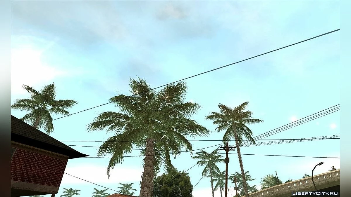 Real Cycle  / GTA San Andreas