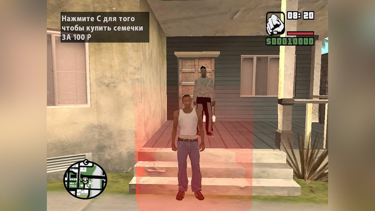 Скачать Купить семечки для GTA San Andreas