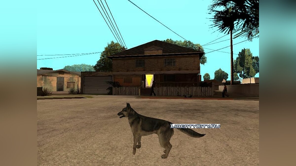 Dogs читы. GTA San Andreas собака. Кот в ГТА санандрес на оружие. ГТА С собакой. Читы на ГТА Сан андреас на собаку.