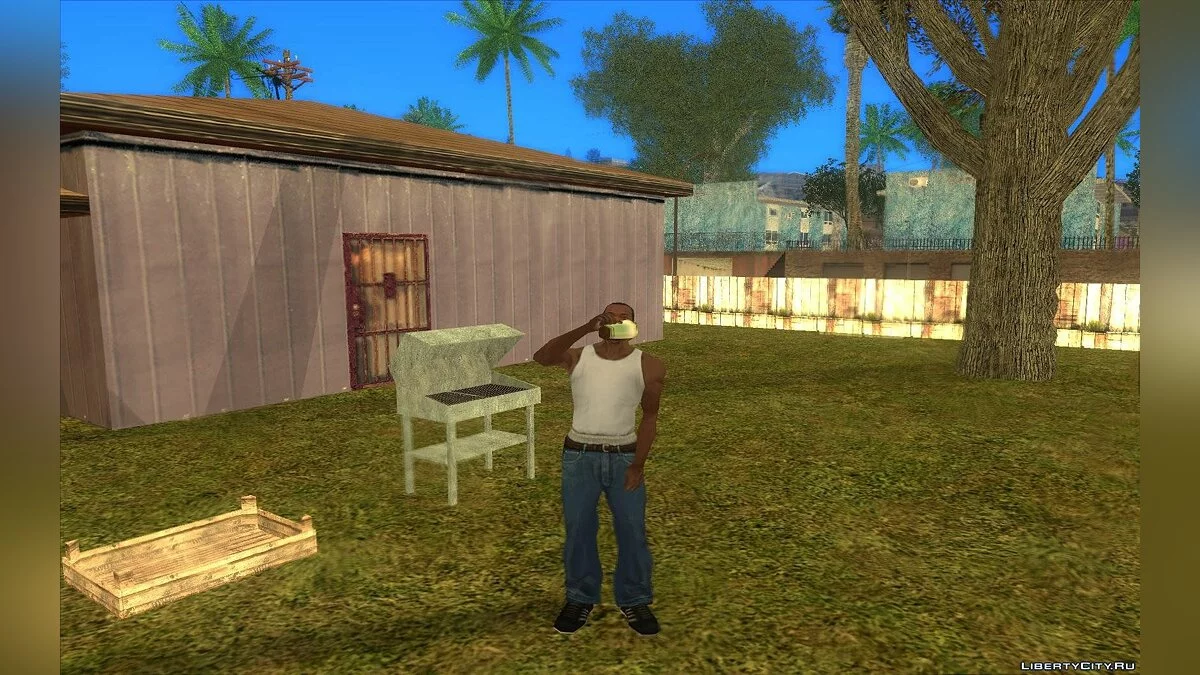 Барбекю / GTA San Andreas