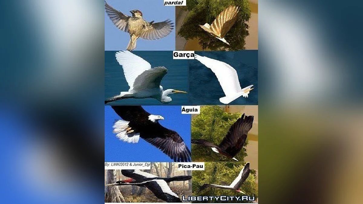 The Birds Update (Pssaros HD) / GTA San Andreas